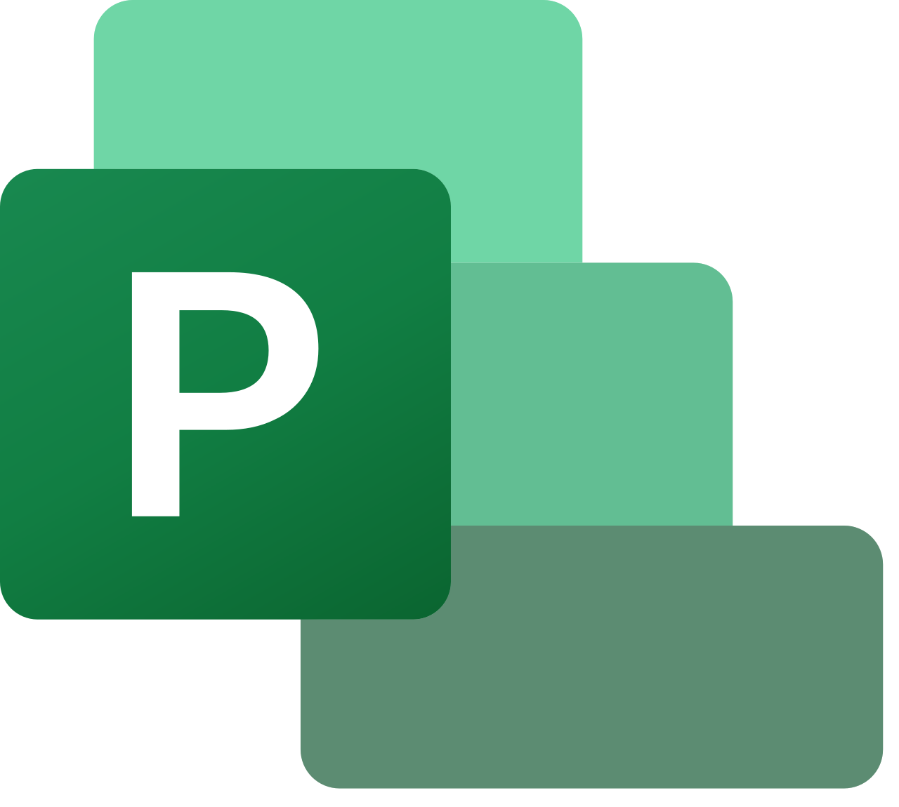 MS Project